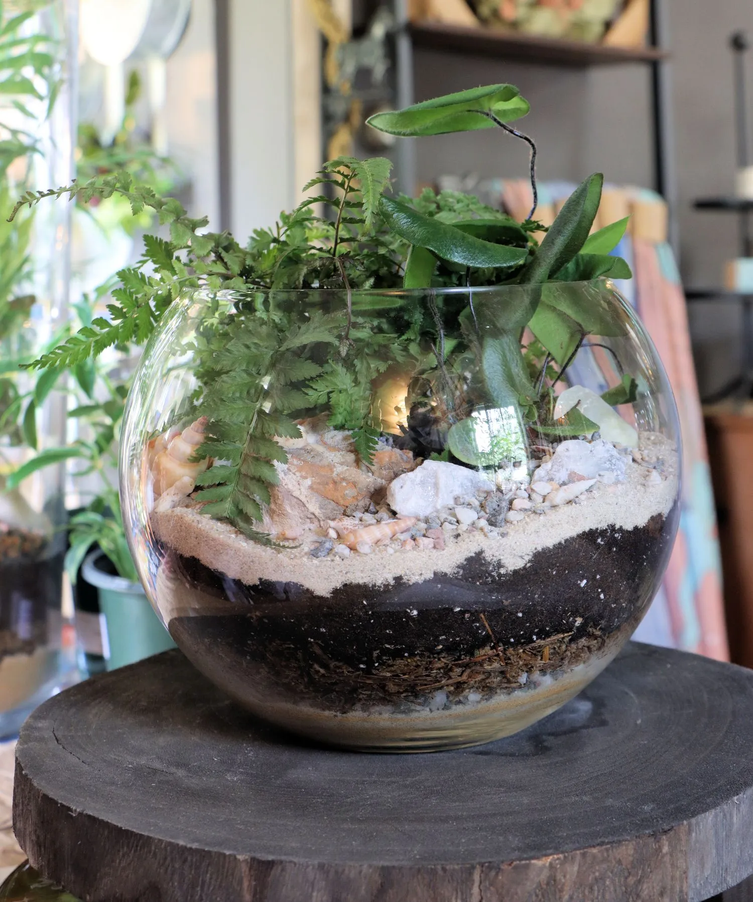 clickbizhub a newly built terrarium on display at greenology peddler's Village